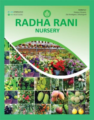 स्मार्ट सिनेमा अगस्त 2023